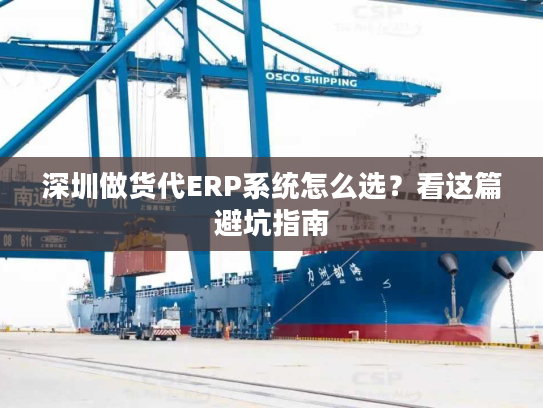 深圳做货代ERP系统怎么选？看这篇避坑指南