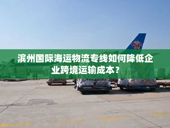 滨州国际海运物流专线如何降低企业跨境运输成本？