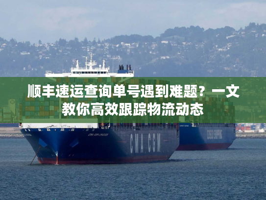 顺丰速运查询单号遇到难题？一文教你高效跟踪物流动态