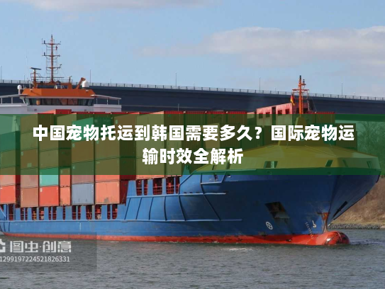 中国宠物托运到韩国需要多久?国际宠物运输时效全解析 中国宠物托运到韩国需要多久?国际宠物运输时效全解析