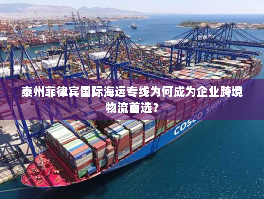 泰州菲律宾国际海运专线为何成为企业跨境物流首选? 泰州菲律宾国际海运专线为何成为企业跨境物流首选?