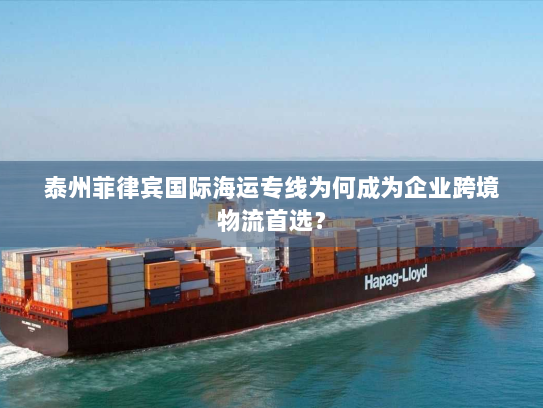 泰州菲律宾国际海运专线为何成为企业跨境物流首选? 泰州菲律宾国际海运专线为何成为企业跨境物流首选?