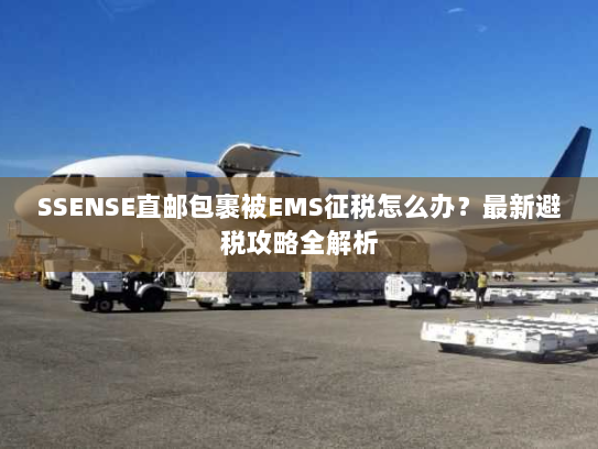 SSENSE直邮包裹被EMS征税怎么办？最新避税攻略全解析
