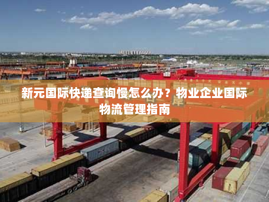 新元国际快递查询慢怎么办？物业企业国际物流管理指南