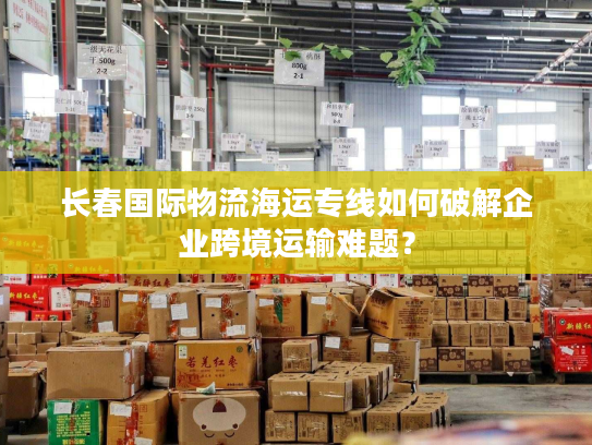 长春国际物流海运专线如何破解企业跨境运输难题？
