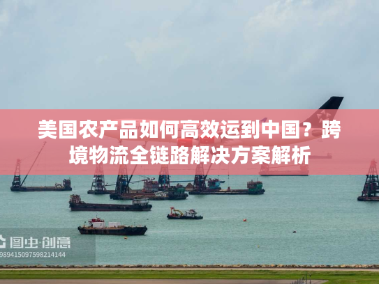 美国农产品如何高效运到中国?跨境物流全链路解决方案解析 美国农产品如何高效运到中国?跨境物流全链路解决方案解析