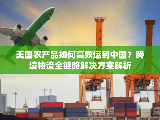 美国农产品如何高效运到中国？跨境物流全链路解决方案解析