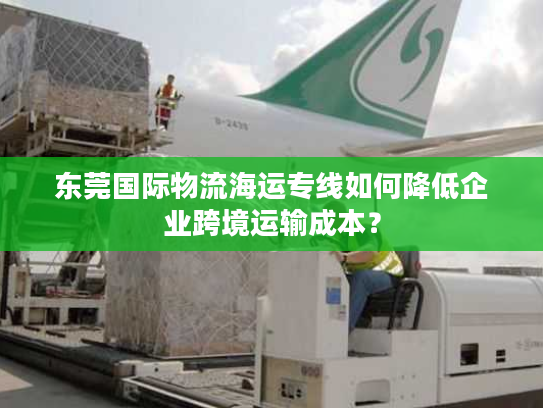 东莞国际物流海运专线如何降低企业跨境运输成本? 东莞国际物流海运专线如何降低企业跨境运输成本?