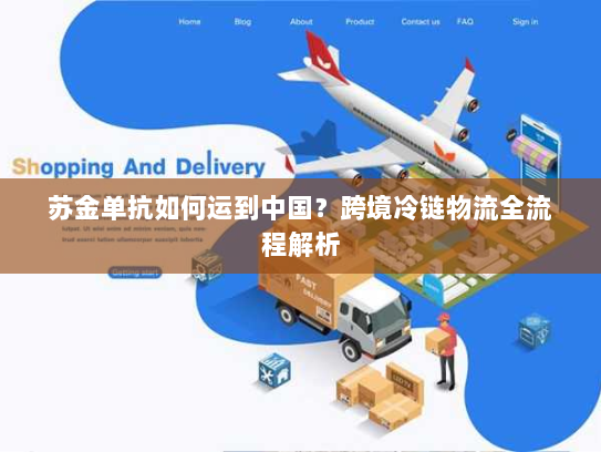 苏金单抗如何运到中国？跨境冷链物流全流程解析