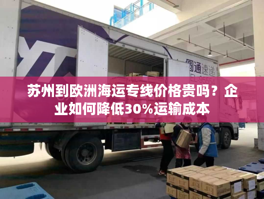 苏州到欧洲海运专线价格贵吗？企业如何降低30%运输成本