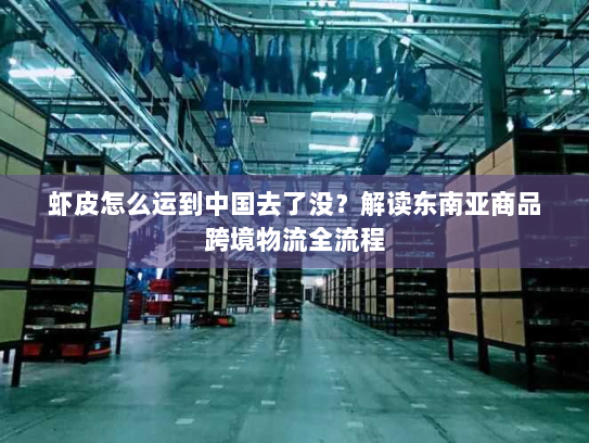 虾皮怎么运到中国去了没？解读东南亚商品跨境物流全流程