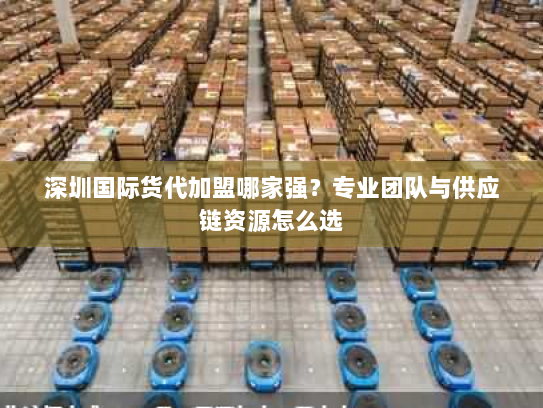 深圳国际货代加盟哪家强?专业团队与供应链资源怎么选 深圳国际货代加盟哪家强?专业团队与供应链资源怎么选