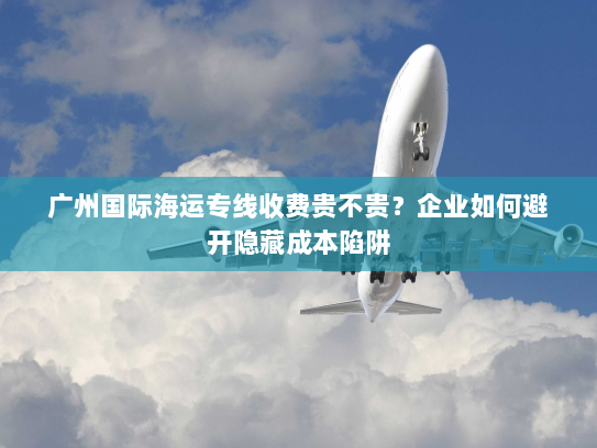 广州国际海运专线收费贵不贵?企业如何避开隐藏成本陷阱 广州国际海运专线收费贵不贵?企业如何避开隐藏成本陷阱