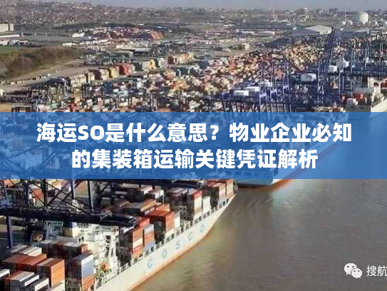 海运SO是什么意思?物业企业必知的集装箱运输关键凭证解析 海运SO是什么意思?物业企业必知的集装箱运输关键凭证解析