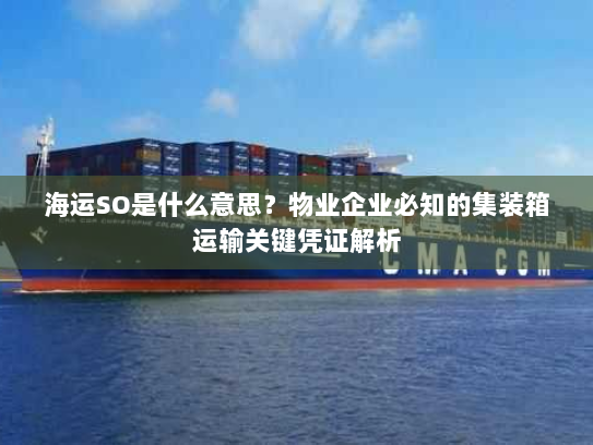 海运SO是什么意思?物业企业必知的集装箱运输关键凭证解析 海运SO是什么意思?物业企业必知的集装箱运输关键凭证解析