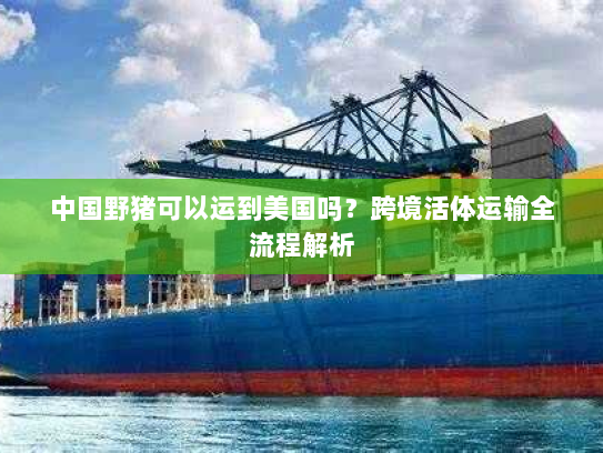 中国野猪可以运到美国吗?跨境活体运输全流程解析 中国野猪可以运到美国吗?跨境活体运输全流程解析