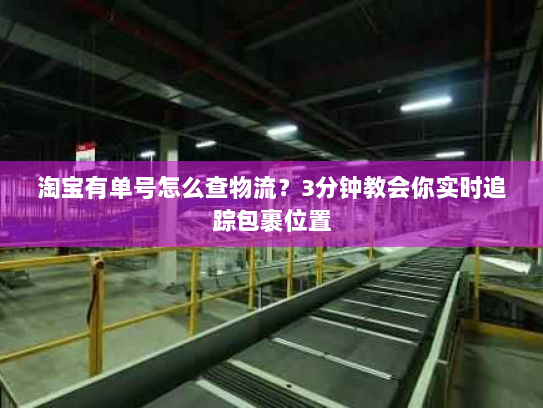 淘宝有单号怎么查物流?3分钟教会你实时追踪包裹位置 淘宝有单号怎么查物流?3分钟教会你实时追踪包裹位置
