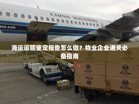 海运运输鉴定报告怎么做？物业企业通关必备指南