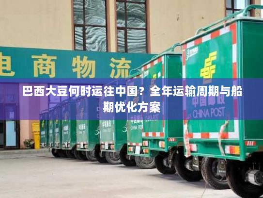 巴西大豆何时运往中国?全年运输周期与船期优化方案 巴西大豆何时运往中国?全年运输周期与船期优化方案