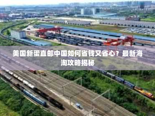 美国新蛋直邮中国如何省钱又省心？最新海淘攻略揭秘