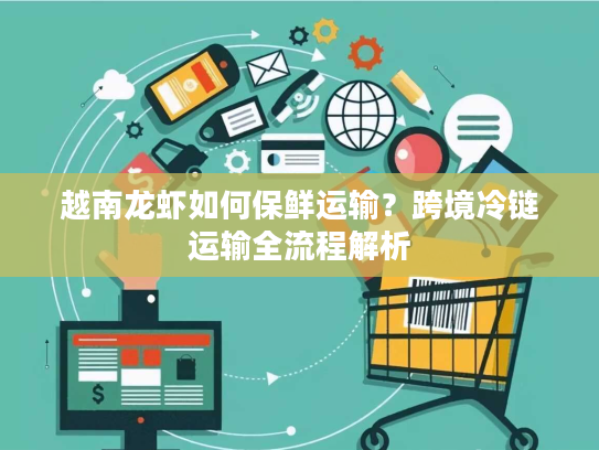 越南龙虾如何保鲜运输？跨境冷链运输全流程解析