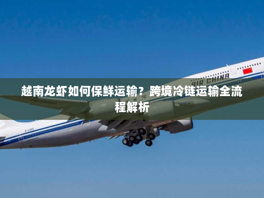 越南龙虾如何保鲜运输？跨境冷链运输全流程解析