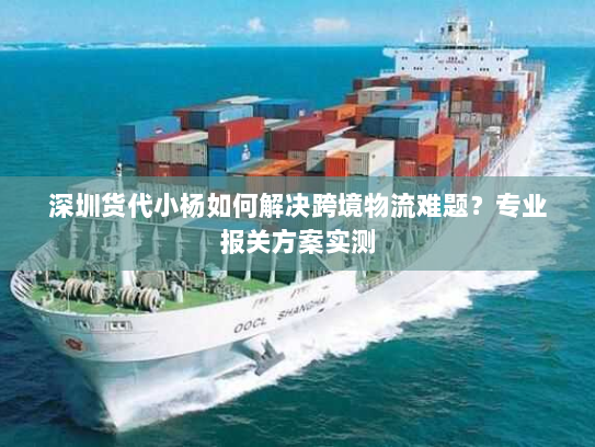 深圳货代小杨如何解决跨境物流难题?专业报关方案实测 深圳货代小杨如何解决跨境物流难题?专业报关方案实测