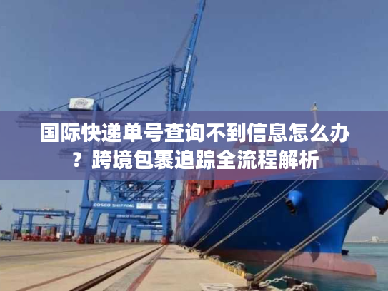 国际快递单号查询不到信息怎么办？跨境包裹追踪全流程解析