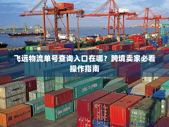 飞远物流单号查询入口在哪?跨境卖家必看操作指南 飞远物流单号查询入口在哪?跨境卖家必看操作指南