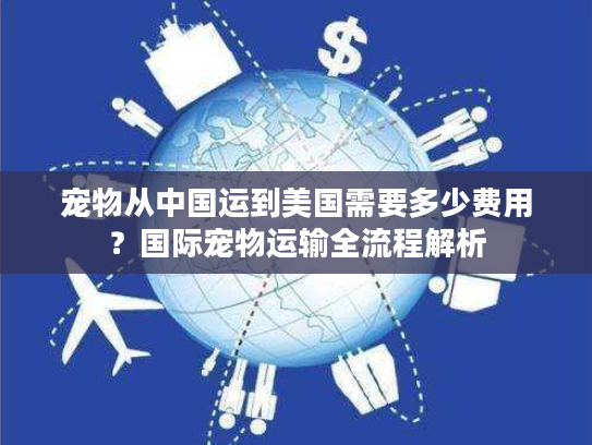 宠物从中国运到美国需要多少费用？国际宠物运输全流程解析