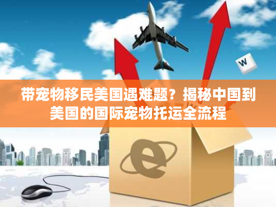 带宠物移民美国遇难题？揭秘中国到美国的国际宠物托运全流程