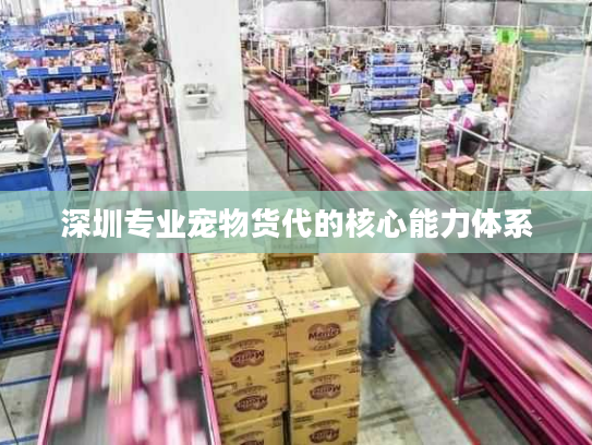 深圳专业宠物货代的核心能力体系