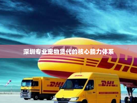 深圳专业宠物货代的核心能力体系 深圳专业宠物货代的核心能力体系