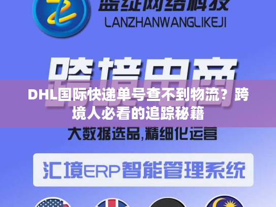DHL国际快递单号查不到物流？跨境人必看的追踪秘籍