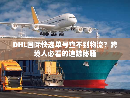 DHL国际快递单号查不到物流？跨境人必看的追踪秘籍