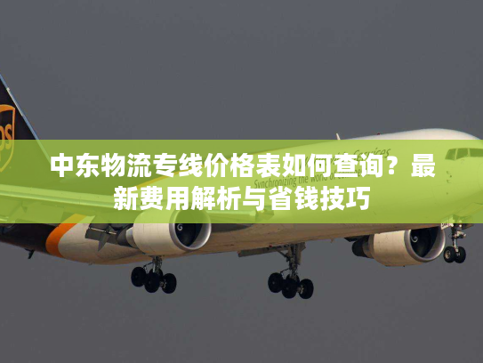 中东物流专线价格表如何查询？最新费用解析与省钱技巧