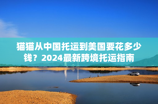 猫猫从中国托运到美国要花多少钱？2024最新跨境托运指南