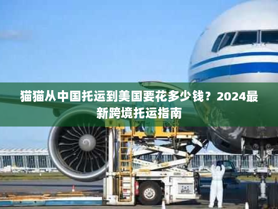 猫猫从中国托运到美国要花多少钱?2024最新跨境托运指南 猫猫从中国托运到美国要花多少钱?2024最新跨境托运指南