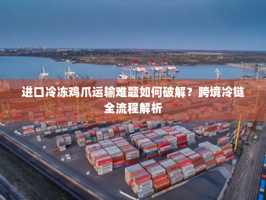 进口冷冻鸡爪运输难题如何破解？跨境冷链全流程解析
