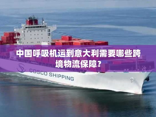 中国呼吸机运到意大利需要哪些跨境物流保障？