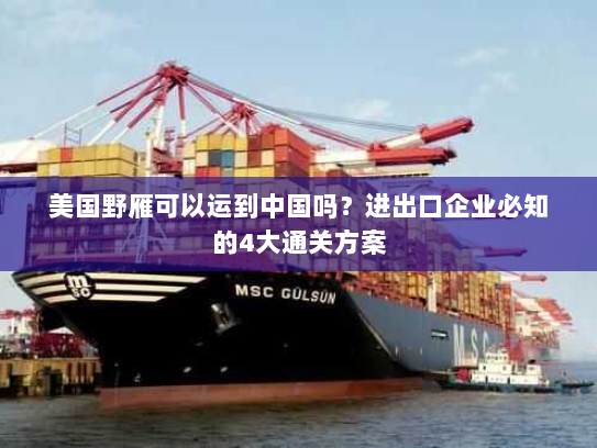 美国野雁可以运到中国吗？进出口企业必知的4大通关方案