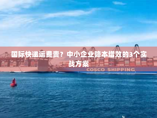 国际快递运费贵?中小企业降本增效的3个实战方案 国际快递运费贵?中小企业降本增效的3个实战方案