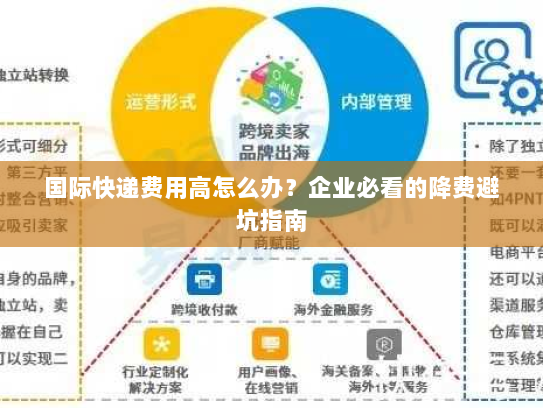 国际快递费用高怎么办?企业必看的降费避坑指南 国际快递费用高怎么办?企业必看的降费避坑指南
