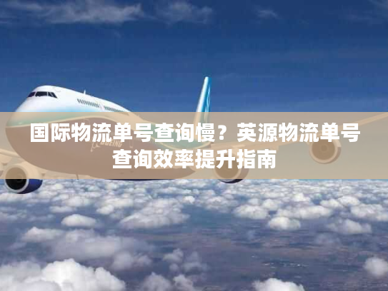 国际物流单号查询慢？英源物流单号查询效率提升指南