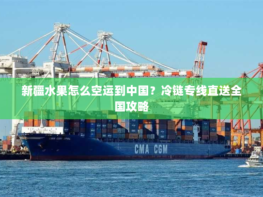 新疆水果怎么空运到中国?冷链专线直送全国攻略 新疆水果怎么空运到中国?冷链专线直送全国攻略