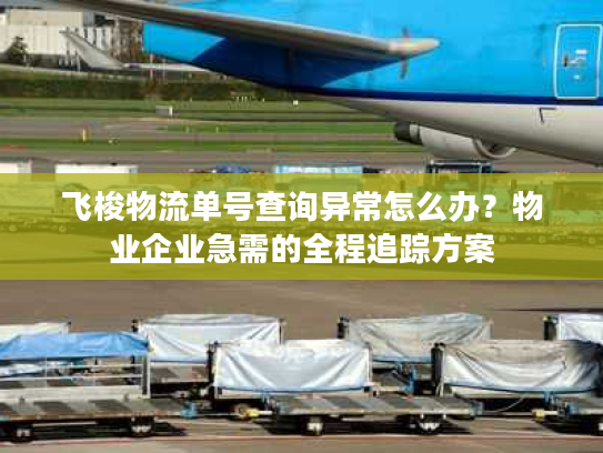 飞梭物流单号查询异常怎么办？物业企业急需的全程追踪方案
