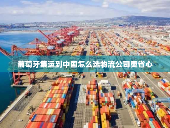 葡萄牙集运到中国怎么选物流公司更省心 葡萄牙集运到中国怎么选物流公司更省心