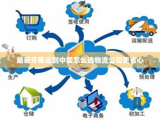 葡萄牙集运到中国怎么选物流公司更省心 葡萄牙集运到中国怎么选物流公司更省心