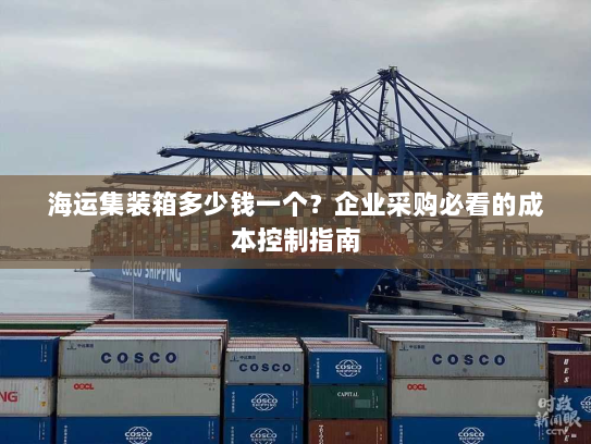 海运集装箱多少钱一个？企业采购必看的成本控制指南