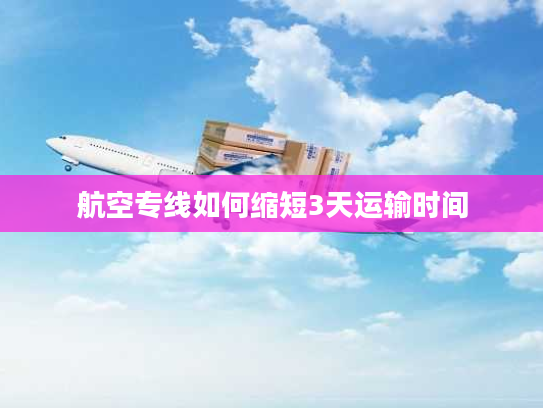 航空专线如何缩短3天运输时间